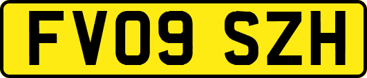 FV09SZH