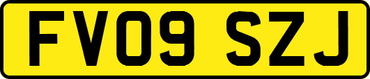 FV09SZJ