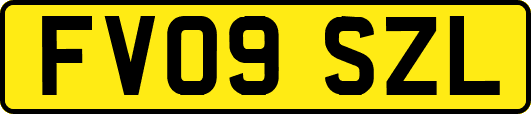 FV09SZL