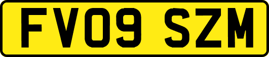 FV09SZM