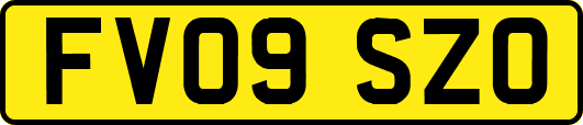 FV09SZO