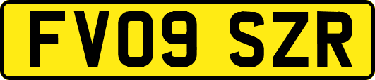 FV09SZR
