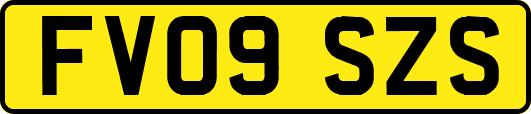 FV09SZS