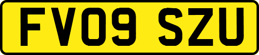 FV09SZU