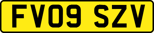 FV09SZV