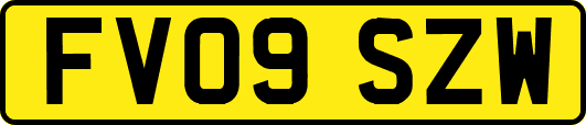FV09SZW