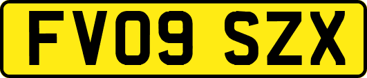 FV09SZX