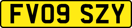FV09SZY