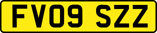 FV09SZZ