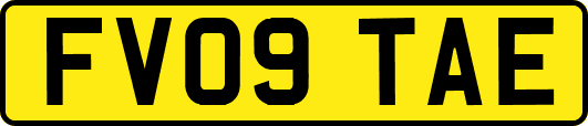 FV09TAE
