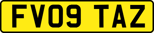 FV09TAZ
