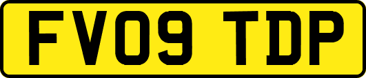FV09TDP