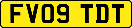 FV09TDT