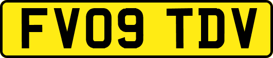 FV09TDV