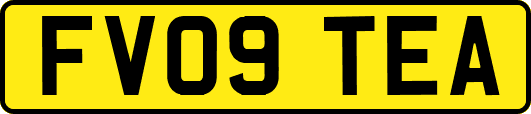 FV09TEA