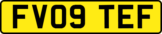 FV09TEF