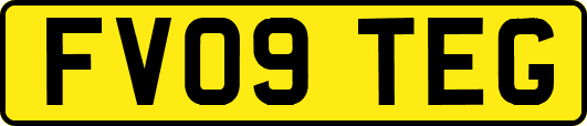 FV09TEG