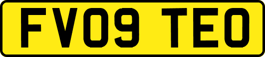 FV09TEO