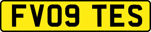 FV09TES
