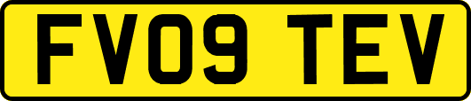 FV09TEV