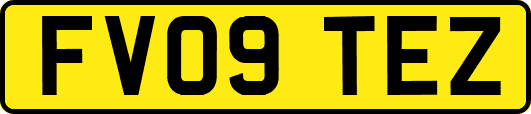 FV09TEZ