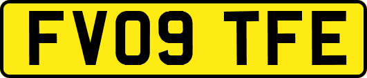 FV09TFE
