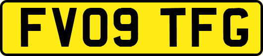 FV09TFG