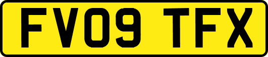 FV09TFX