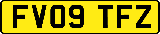 FV09TFZ