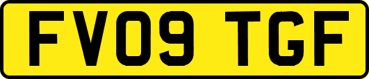 FV09TGF