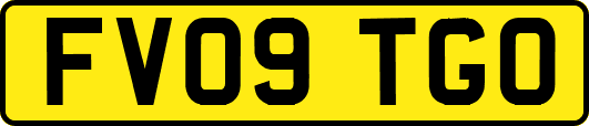 FV09TGO