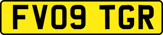 FV09TGR