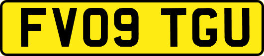 FV09TGU