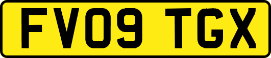 FV09TGX