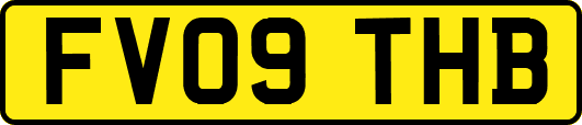FV09THB