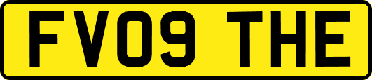 FV09THE