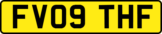 FV09THF