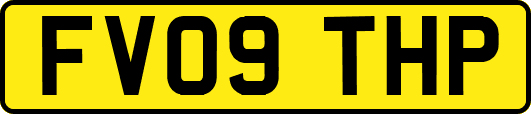 FV09THP