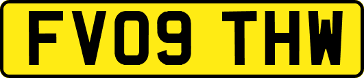 FV09THW