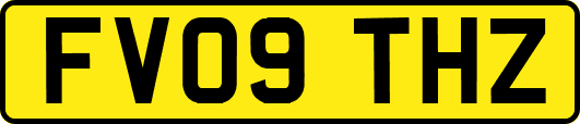 FV09THZ