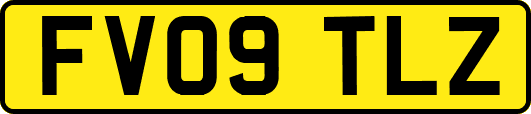 FV09TLZ