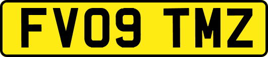 FV09TMZ