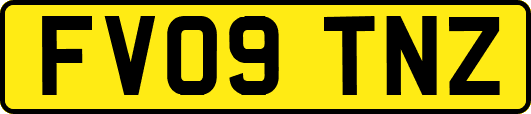 FV09TNZ