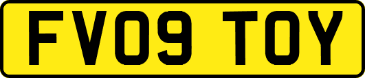 FV09TOY