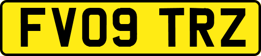 FV09TRZ