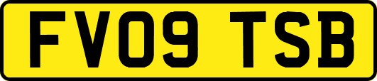 FV09TSB