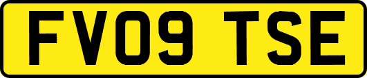 FV09TSE
