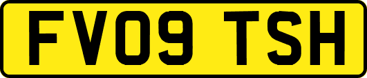 FV09TSH