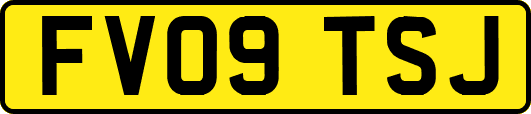 FV09TSJ