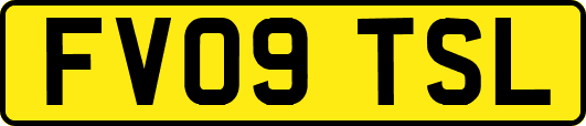 FV09TSL
